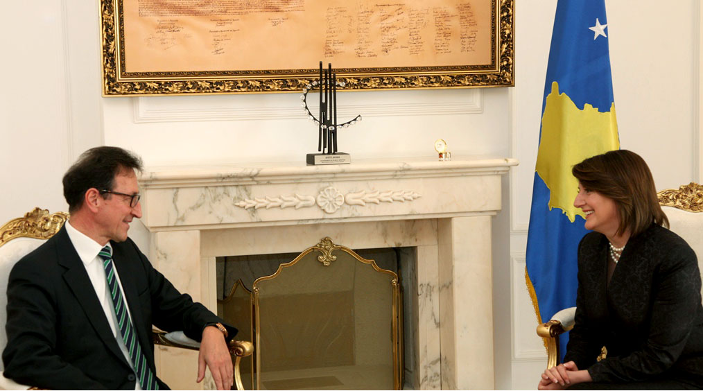 27_10_2015_3754243_27_10_2015_Takim_me_ambasadorin_e_Austrise_1