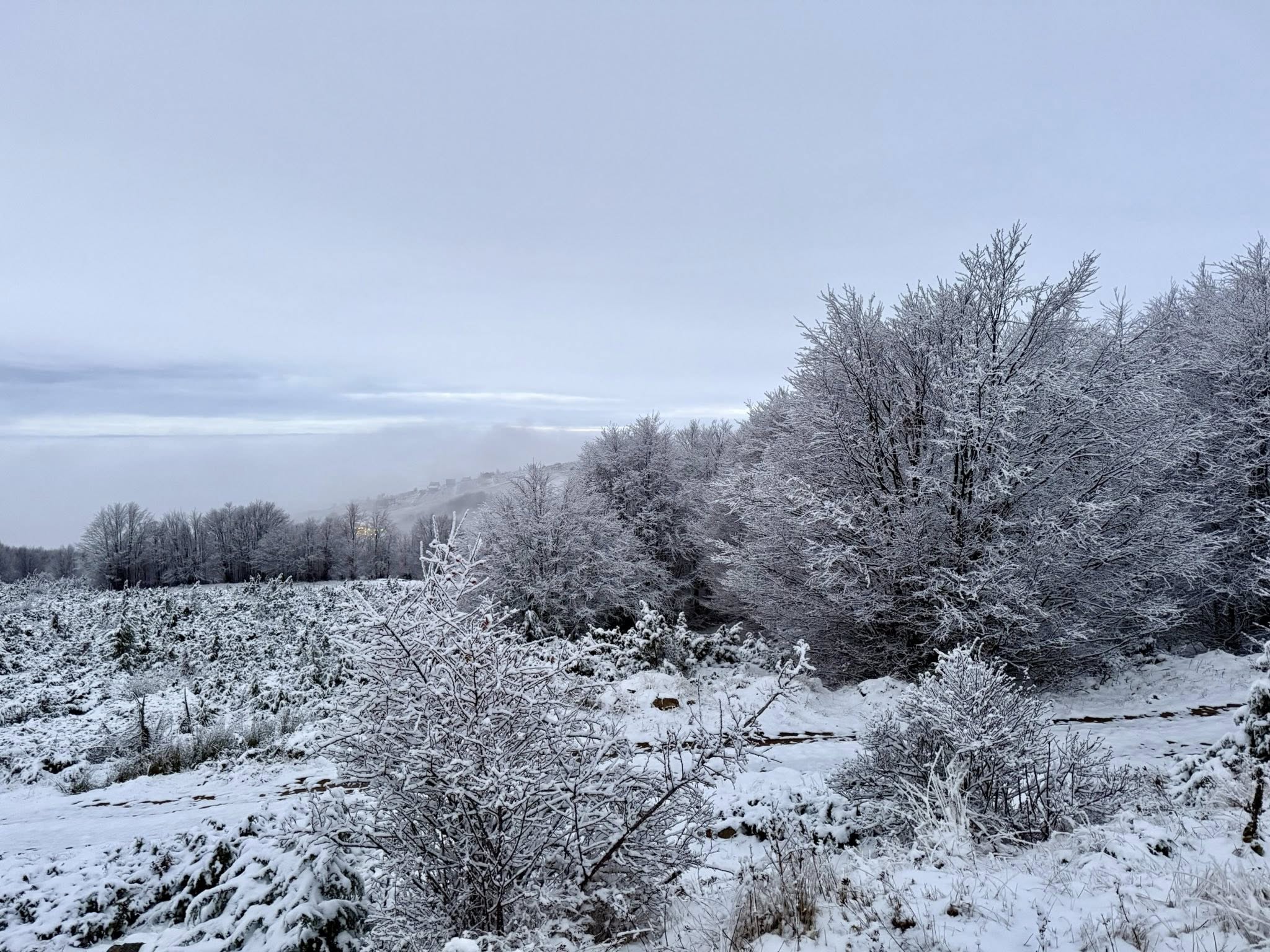 Presidentja e Republikës së Kosovës, Vjosa Osmani ka vizituar sot komunën e Dragashit-20