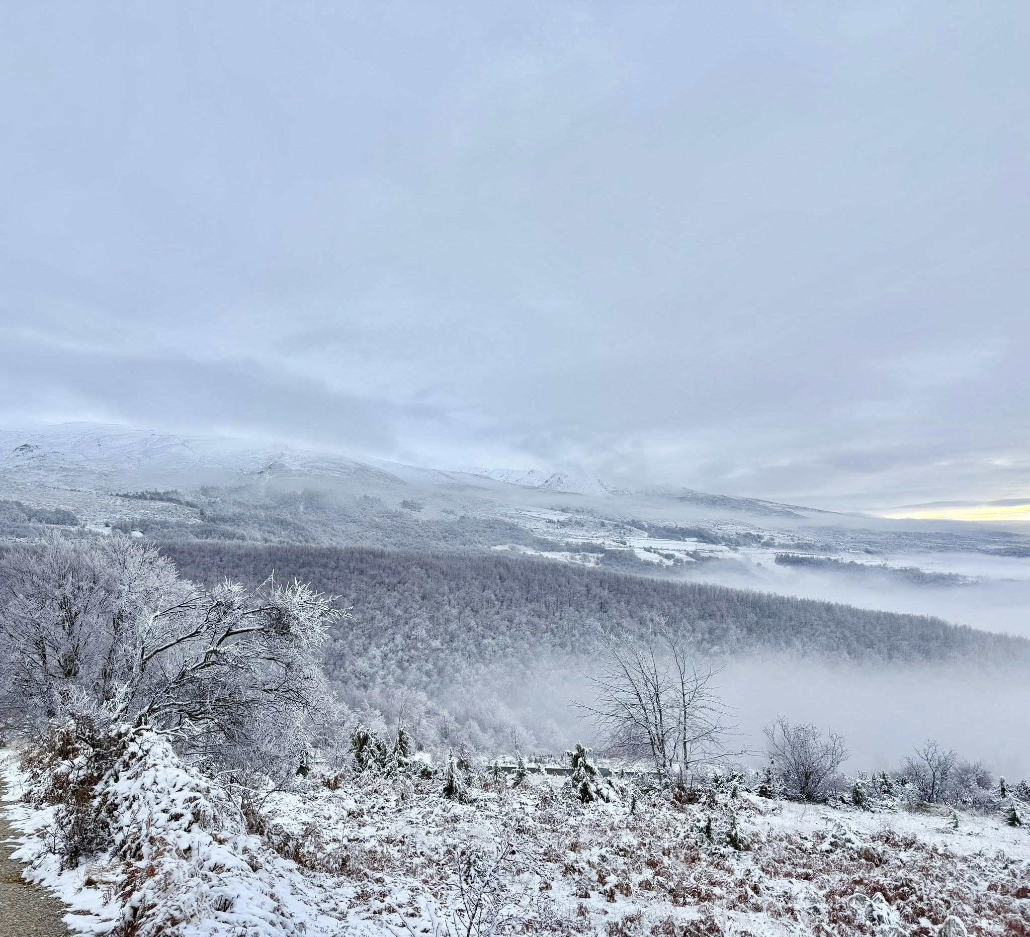 Presidentja e Republikës së Kosovës, Vjosa Osmani ka vizituar sot komunën e Dragashit-5