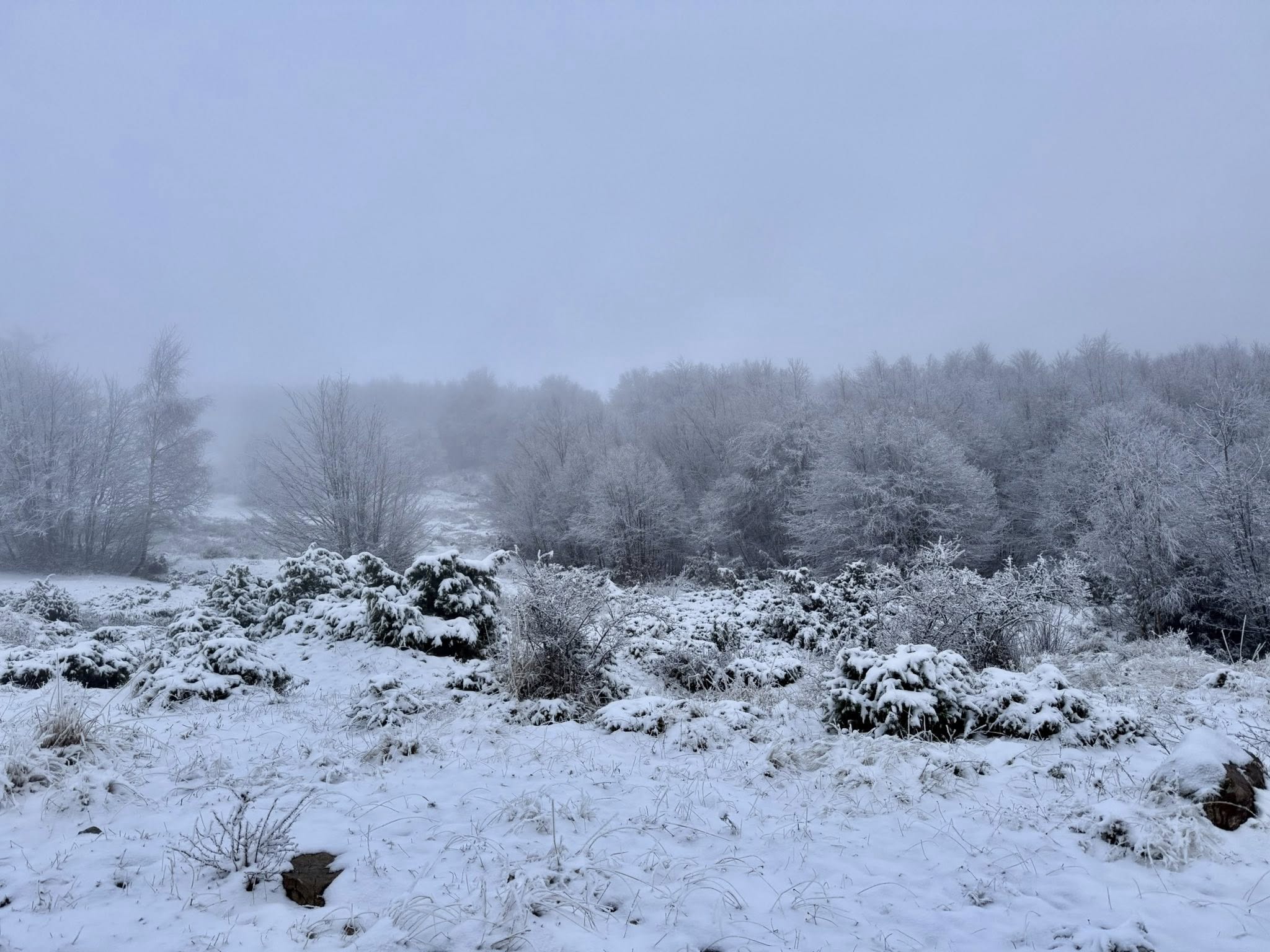Presidentja e Republikës së Kosovës, Vjosa Osmani ka vizituar sot komunën e Dragashit-6