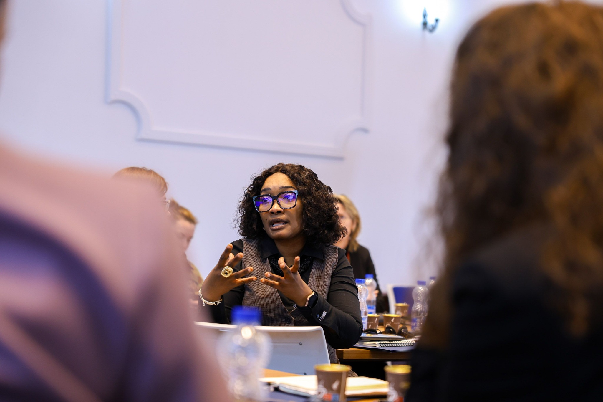 Qendra Rajonale e Ekselencës për Gratë, Paqen dhe Sigurinë në Kosovë-12