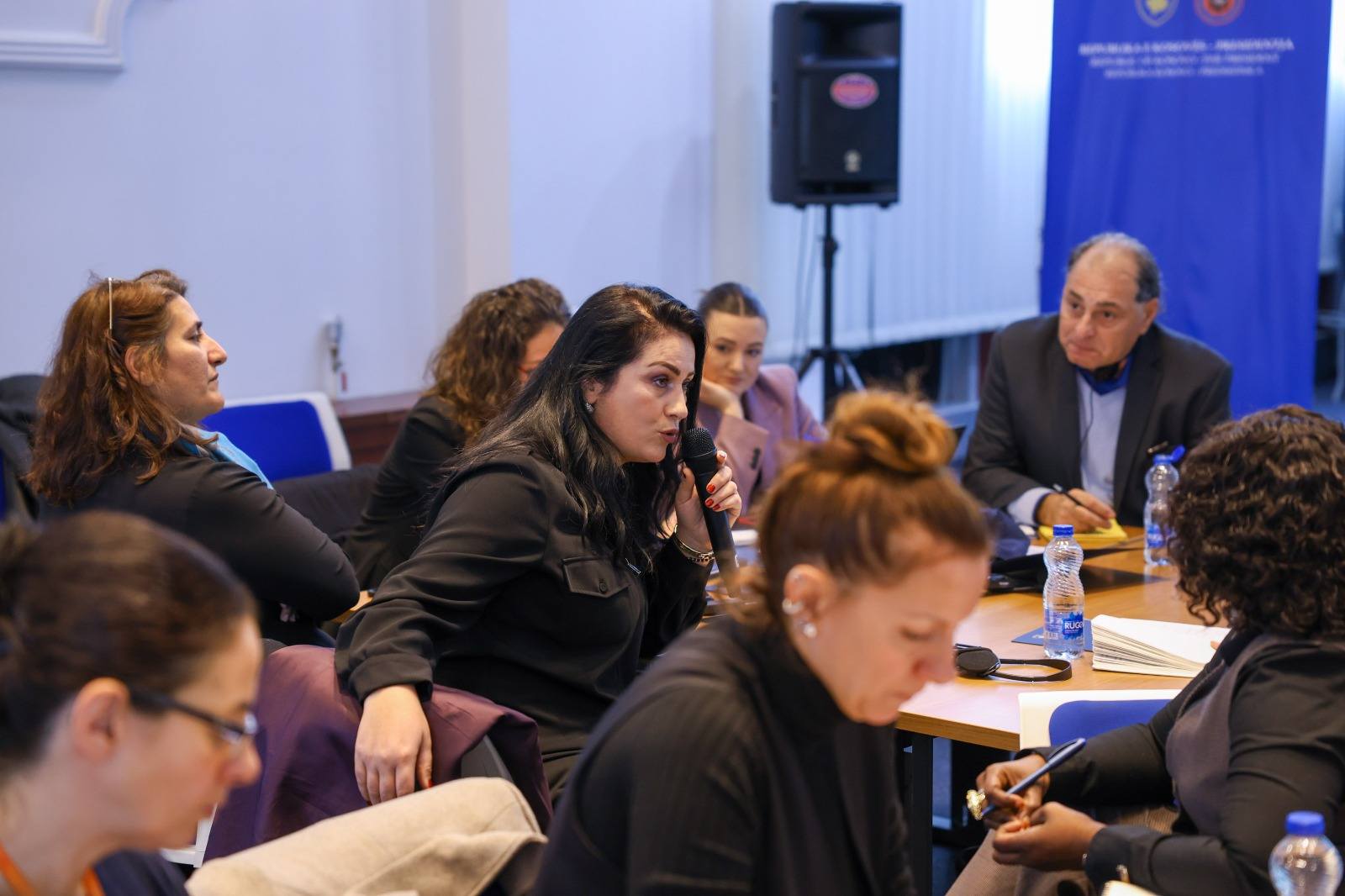 Qendra Rajonale e Ekselencës për Gratë, Paqen dhe Sigurinë në Kosovë-17